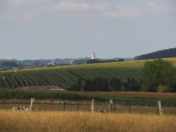 Kwaremont (Belgium)